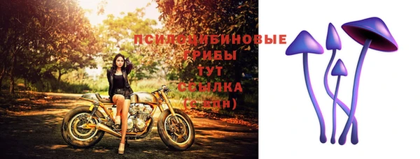 эйфоретик Кулебаки
