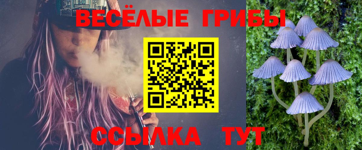 Камышин  Галлюциногенные грибы Cubensis  Вход с VPN 